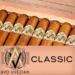 AVO Classic Cigars