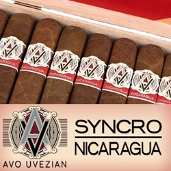 AVO Syncro Nicaragua Cigars