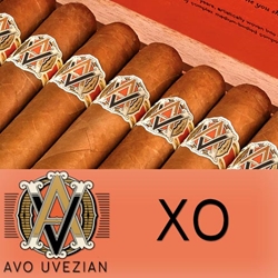 AVO XO Cigars