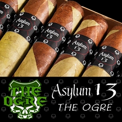 Asylum 13 The Ogre