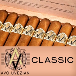 AVO Cigars