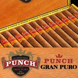 Punch Cigars