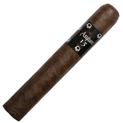 Asylum 13 Robusto 50x5