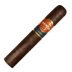 Punch Clasico Maduro Rothschild